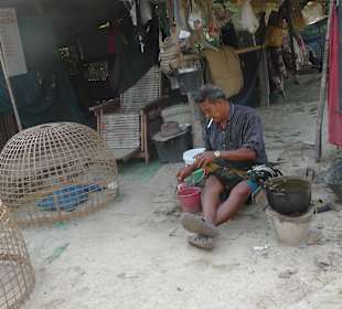 Hahenkampf - Aufzuchtfarm