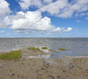 Naturstrand Hilgenriedersiel