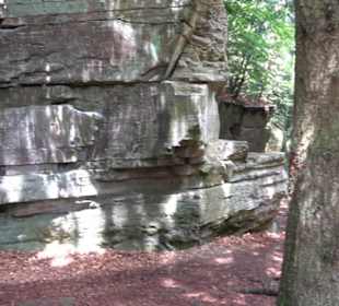 Wanderweg - Alter Steinbruch Pfaffenberg Runde