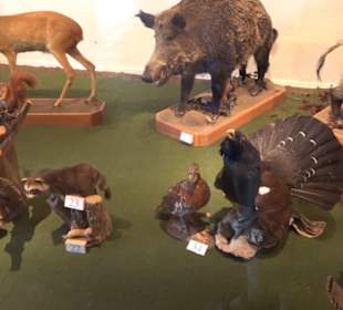 Natur- und Jagdmuseum