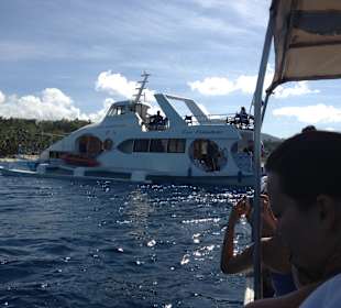 Tauchschiff vom Coco Grove