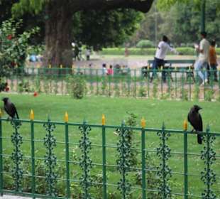 Viktoria Memorial Kalkutta