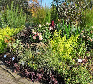 Rundgang durch den Botanischen Garten Hamburg