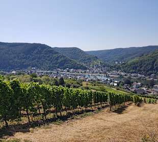 Wandern Traben-Trarbach