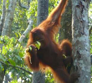 Aus sicherer Distanz