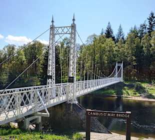 Cambus o' May Suspension Brücke