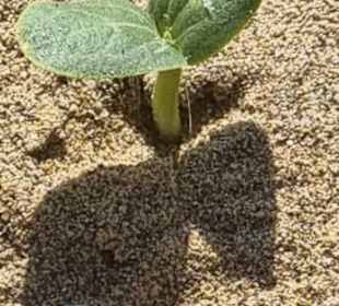 Was kommt da denn raus