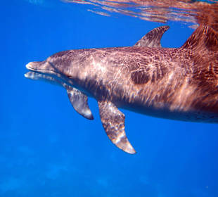 Bilder vom 13.10.16 von mir geschossen