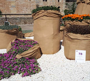 Stadtrundgang Castell-Platja d’Aro