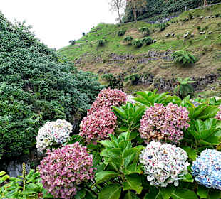 Ribeira dos Caldeirões