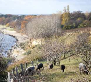 Südstrand Göhren