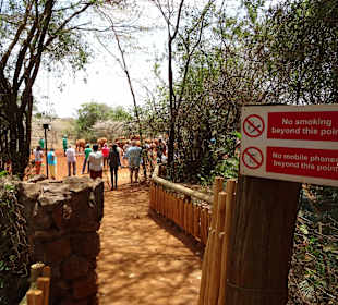 Weg zu den Elefanten