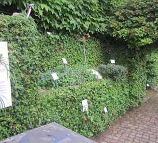 Botanischer Garten Bergamo