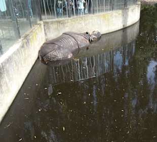 Tierpark Hellabrunn - Afrika