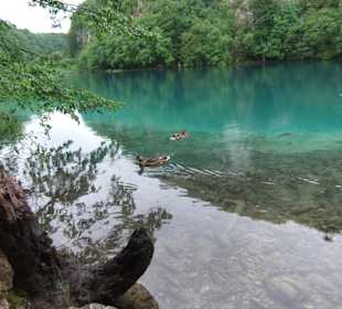 Traumhafte Welten - Die 16 Plitvenice-Seen