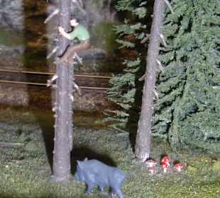 Schnell auf den Baum