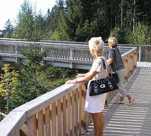 Blick in die ferne