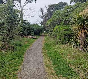 Ahuriri Estuary Walk