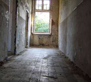 Zakład dla Nerwowo i Psychicznie Chorych Żydów Zofiówka