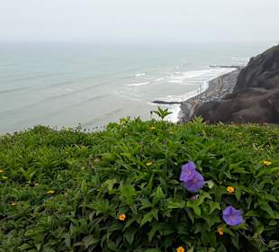 Malecón de Miraflores