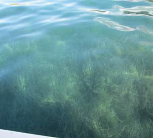 Очень чистая вода