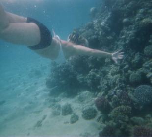 Mondo marino di fronte all'hotel