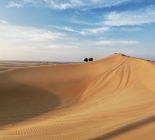 Wüstentour Abu Dhabi zum Sonnenaufgang