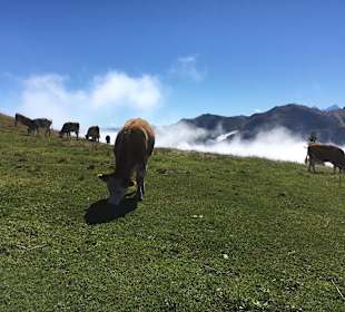 Wandern Saalbach-Hinterglemm