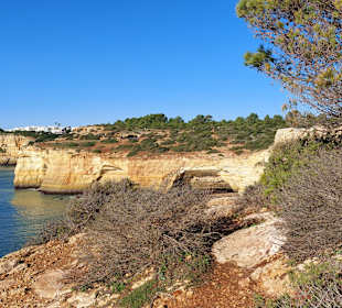Seven Hanging Valleys Trail 