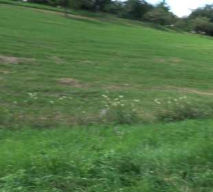 Hochgehnießen - Premiumspazierwanderweg