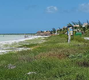 Holbox