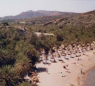 Palmenstrand von Vai