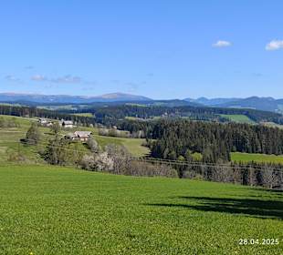 Ausblick