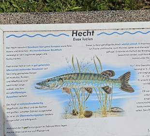 Fischlehrpfad