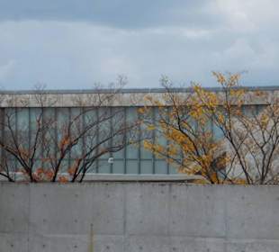 Widok przeszklonego bloku.