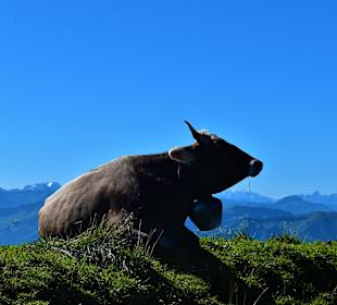 Wandern Stiefenhofen