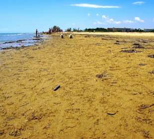 Richtung Bibione zurück