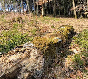 Wandern Finnentrop