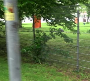 Wandern rund um den Stadtsee