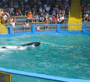 Miami Seaquarium