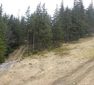 Schneekope/Śnieżka