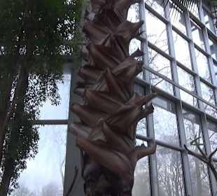 Tropicarium - Trockentropen