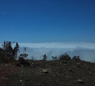 Auffahrt zum Teide