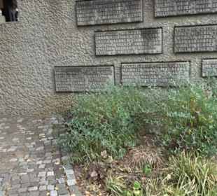 Denkmal für die Gefallenen