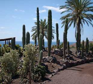 Cactus Garden Oasis Park