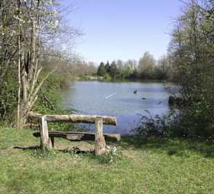Sport- und Freizeitpark Markwasen