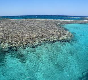 Die schönste Mittagspause 