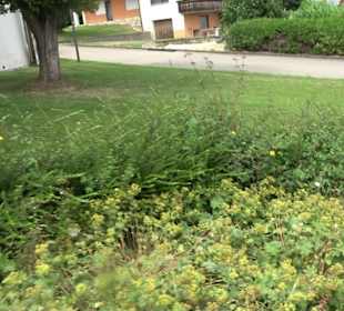 Katholisches Pfarrhaus Emeringen