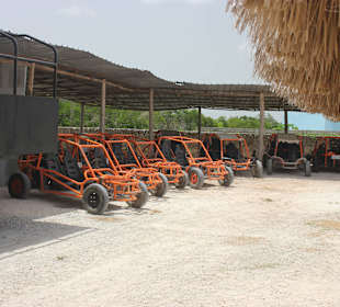 Die Buggys