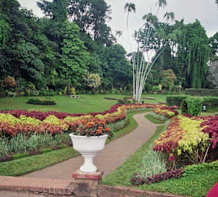Botanischer Garten